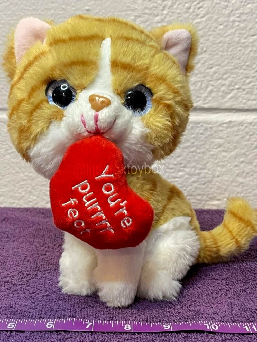 Publix You’re Purr-fect Orange Tabby Cat Plush 2021 Valentine Red Heart ESSA Wow